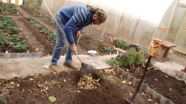 Как с пользой для дела избавиться от опавшей листвы на садовом участке смотреть онлайн