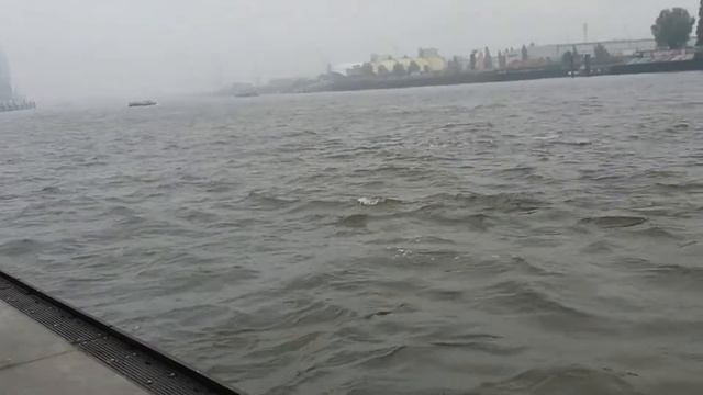Hamburg Port. смотреть онлайн