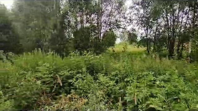 2-я Смирновка 1609 смотреть онлайн