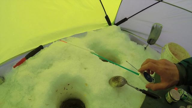 Секреты ловли плотвы зимой. Как поймать плотву в глухозимье. Крупная плотва на Панировочные Сухари!