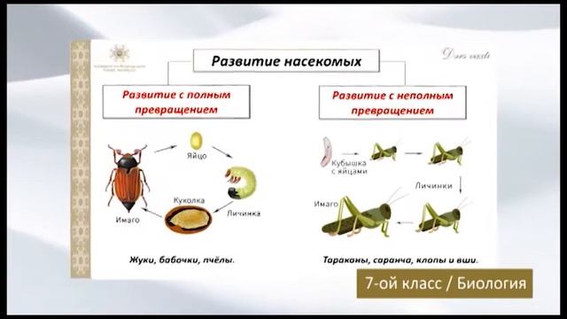 “Dərs vaxtı”: 7-ci sinif dərsləri ( rus bölməsi) (08.04.2021) смотреть онлайн