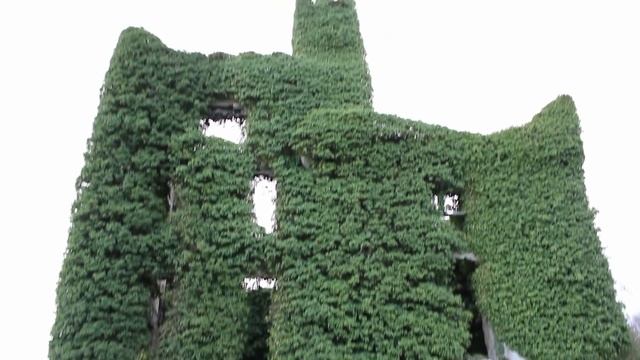 Irish Road Trip | Exploring Galway | Ireland Travel Vlog (Menlo Castle, Athenry, Galway City) смотреть онлайн