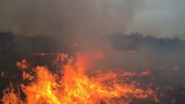 Controlled burn #2 for 2016 смотреть онлайн