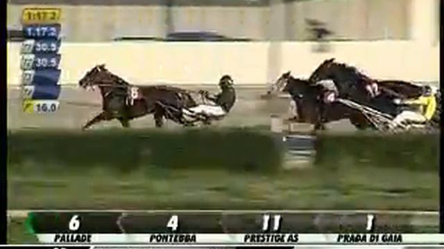 03/01/2013, Aversa Trotto, Premio Montalto смотреть онлайн
