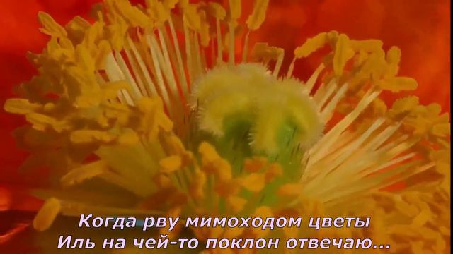 "Как прекрасно всё то, что Твоё" (+ текст) смотреть онлайн