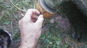 Честный отзыв о 4-х тактной мотокосе ProCraft T5600 после сезона эксплуатации!