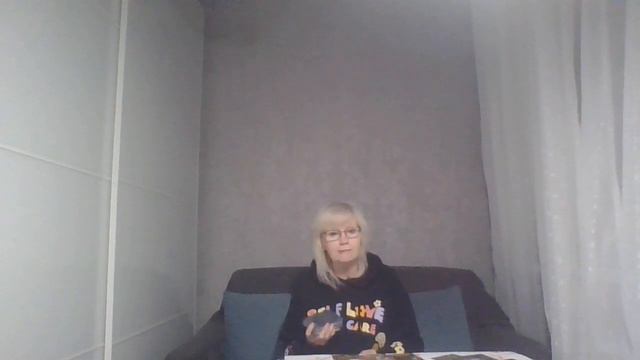 БЛИЗНЕЦЫ 8-14 января 2024 "Позволить вещам идти своим чередом" смотреть онлайн