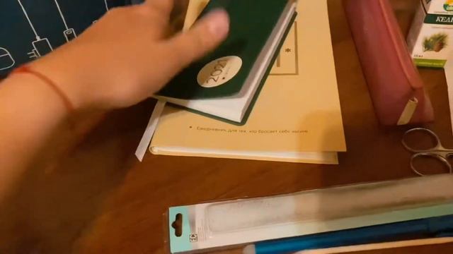 15 дней РАСХЛАМЛЕНИЯ: выкинула 120 вещей за 2 недели. Мой путь к минимализму? смотреть онлайн
