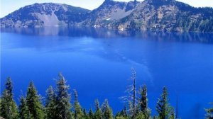 цветы и красивые картинки