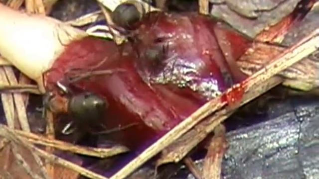 Жизнь- борьба.wmv смотреть онлайн