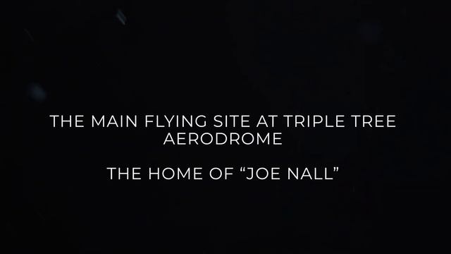 RealFlight Evolution RC Flight Simulator