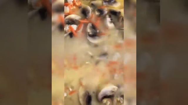 БЫСТРЫЙ УЖИН 🥘 ——————————— ВИДЕО ОЗВУЧЕНО🎶 СТАВЬТЕ ЛАЙК❤️ СОХРАНЯЙТЕ ✅ ———————— смотреть онлайн