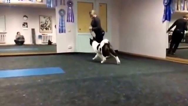 13075431 1597682340558241 1060266843 n смотреть онлайн