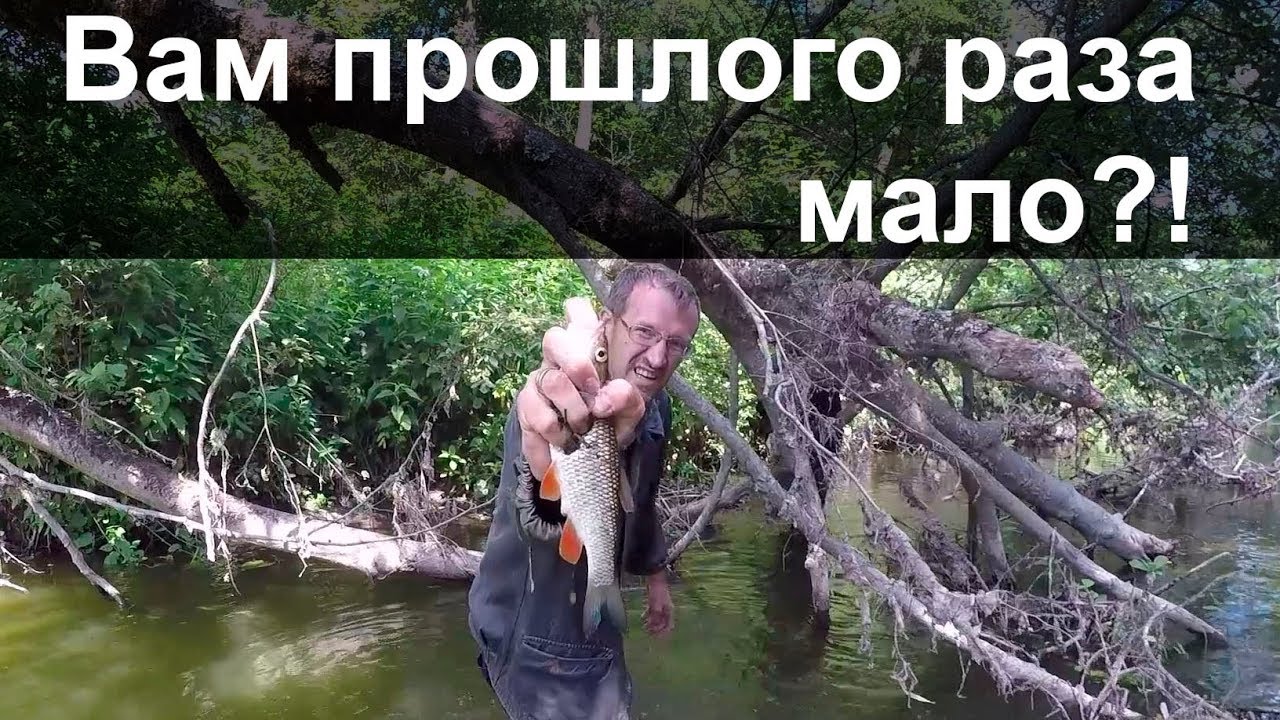 Вам прошлого раза мало! - К нам ОПЯТЬ приехали корреспонденты... смотреть онлайн