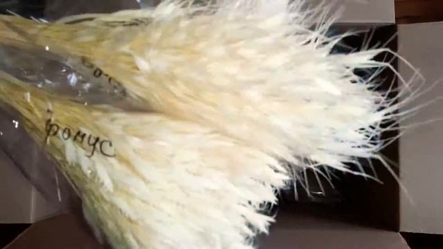 Распаковка букетов из сухоцветов bouquets of dried flowers смотреть онлайн