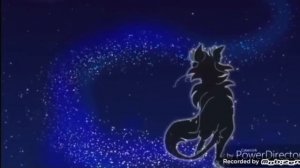 Песня у кошки девять жизней{Коты воители}