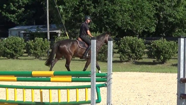 Alsnistria and Chris смотреть онлайн