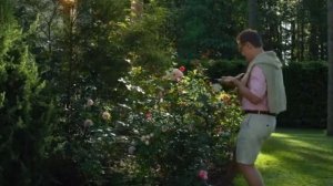 Смотреть/Скрежет 2022