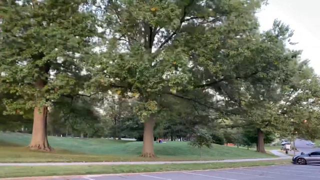 Living in Ladue Missouri | STL Living смотреть онлайн