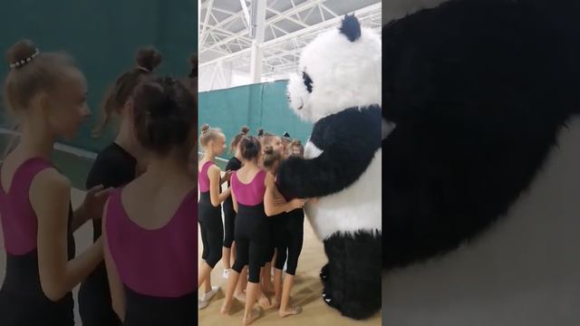 поздравление от Медведя Панды #сднемрождения #раменское #московскаяобласть #огромныймишка смотреть онлайн