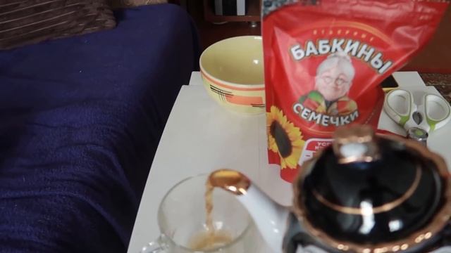 Поведение кошки после стерилизации смотреть онлайн