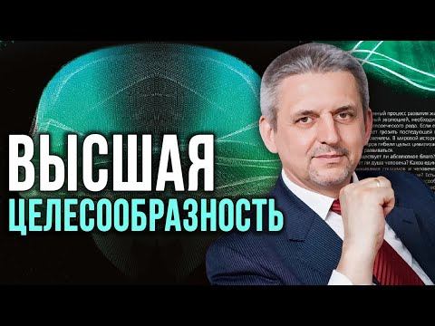 Любовь, справедливость и конкуренция. Сергей Сухонос. смотреть онлайн