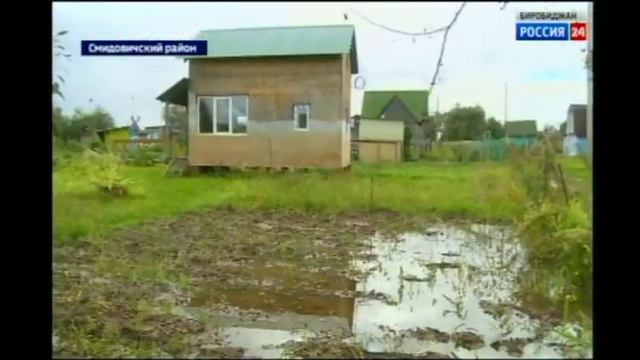 Амур отступает, уровень воды на реках области падает смотреть онлайн