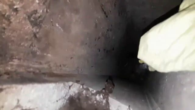 Спасение вороны из вентиляционной шахты смотреть онлайн