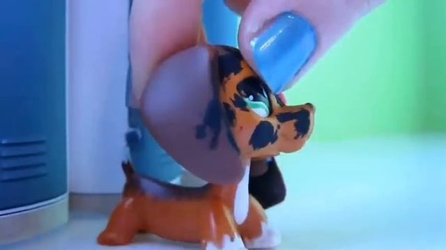 Littlest Pet Shop: Popular (Episode #5: Calories and Competition) смотреть онлайн