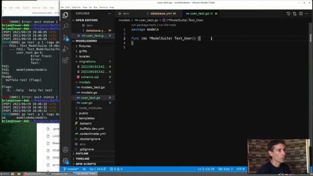 Learn Buffalo in Go - Part 2 Models смотреть онлайн