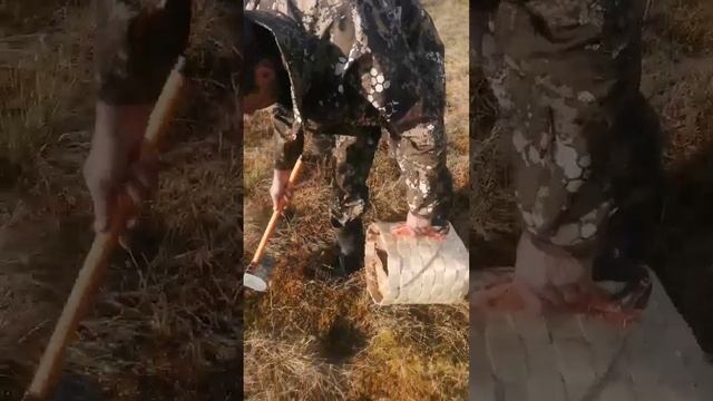 2 декабря 2023 г. смотреть онлайн