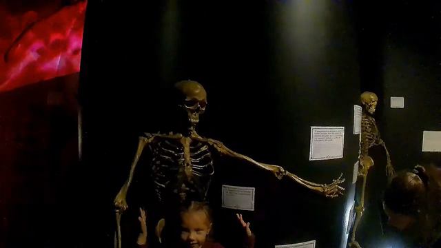 МУЗЕЙ ВНУТРИ ЧЕЛОВЕКА .Часть9/ Видео для детей смотреть онлайн