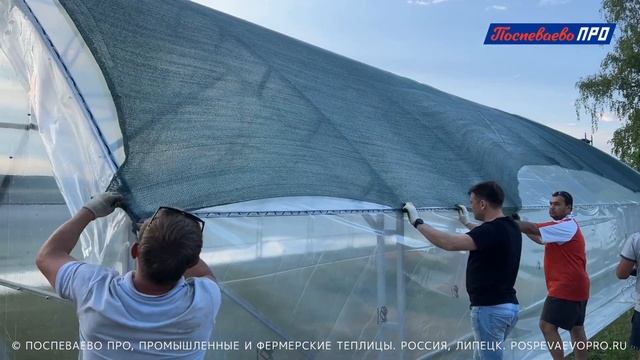 Как установить затеняющую сетку на промышленную теплицу Супермодуль