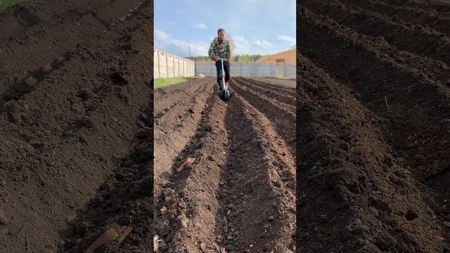 Супер плуг и окучник. #окучивание #плуг #посадка смотреть онлайн