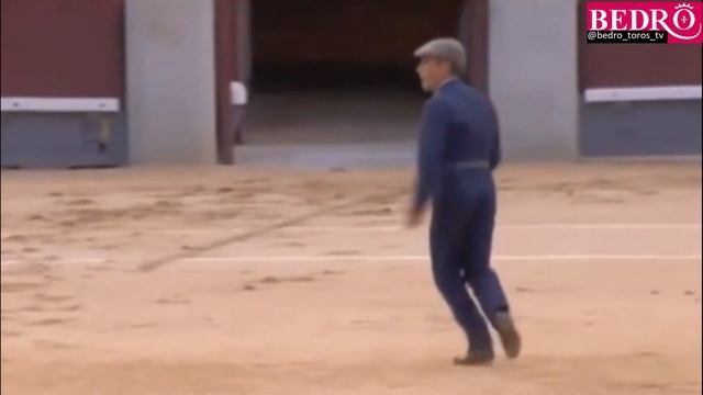 Plaza De Toros Las Ventas 2017: Corrida De Beneficencia - Toro De Victoriano Del Rio Devuelto