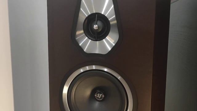 Floorstanding Speakers Sonus Faber Sonetto V