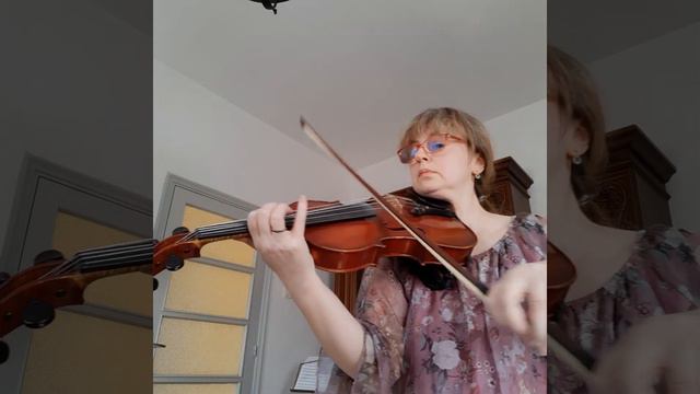 Vivo per lei / Andrea Bocelli / Violin Cover смотреть онлайн