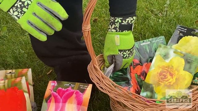 Планируем цветник к новому сезону!!! смотреть онлайн