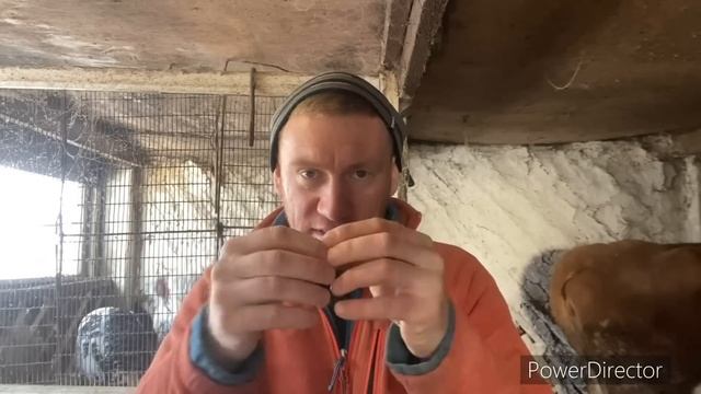 ШОК!!! ??? ЕДЯТ БЕЗ НОРМЫ И ЖИВЫ??? КАК ТАК??? смотреть онлайн