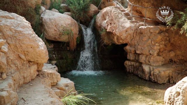 Эйн Геди | Ein Gedi Russian смотреть онлайн