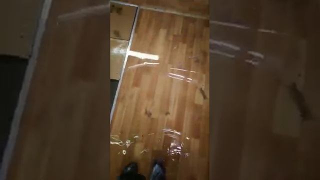 Последствия потопа в Лефортово смотреть онлайн