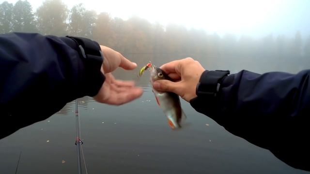 Весёлая ловля окуня на поверхностные приманки смотреть онлайн