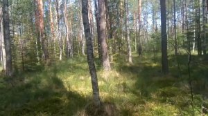 Изготовление керамики ямным способом. Полная версия.