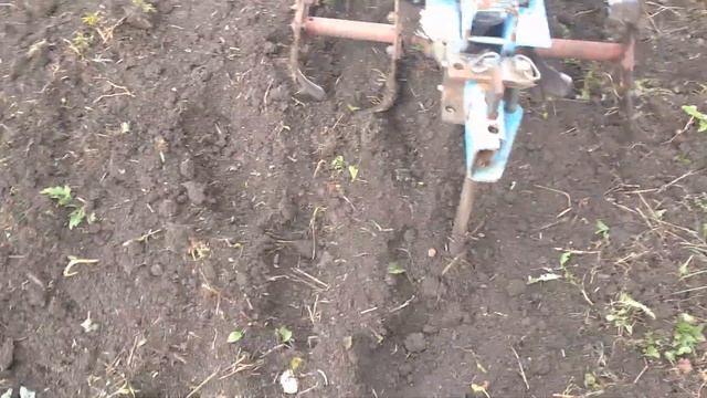 Мотоблок Нева фрезеруем огороды. смотреть онлайн