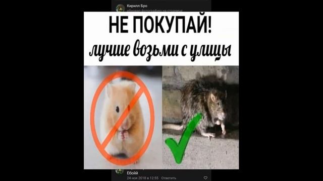 на твоём телефоне пришло новое видео, посмотри когда будешь готов смотреть онлайн