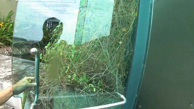Тайланд, Пхукет. Заброшенный отель на Ката. смотреть онлайн