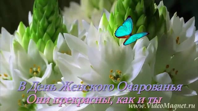 С 8 Марта! Получите подарки в Международный Женский День! смотреть онлайн