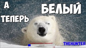 Охота на Белого медведя (Полярный) -Трофей наш!!! - theHunter - стрим