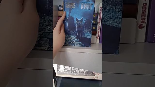 мои книжные полки? смотреть онлайн