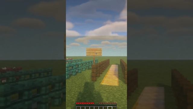 Как проходит время Майнкрафт #shorts #minecraftshorts #minecraft #майнкрафт смотреть онлайн
